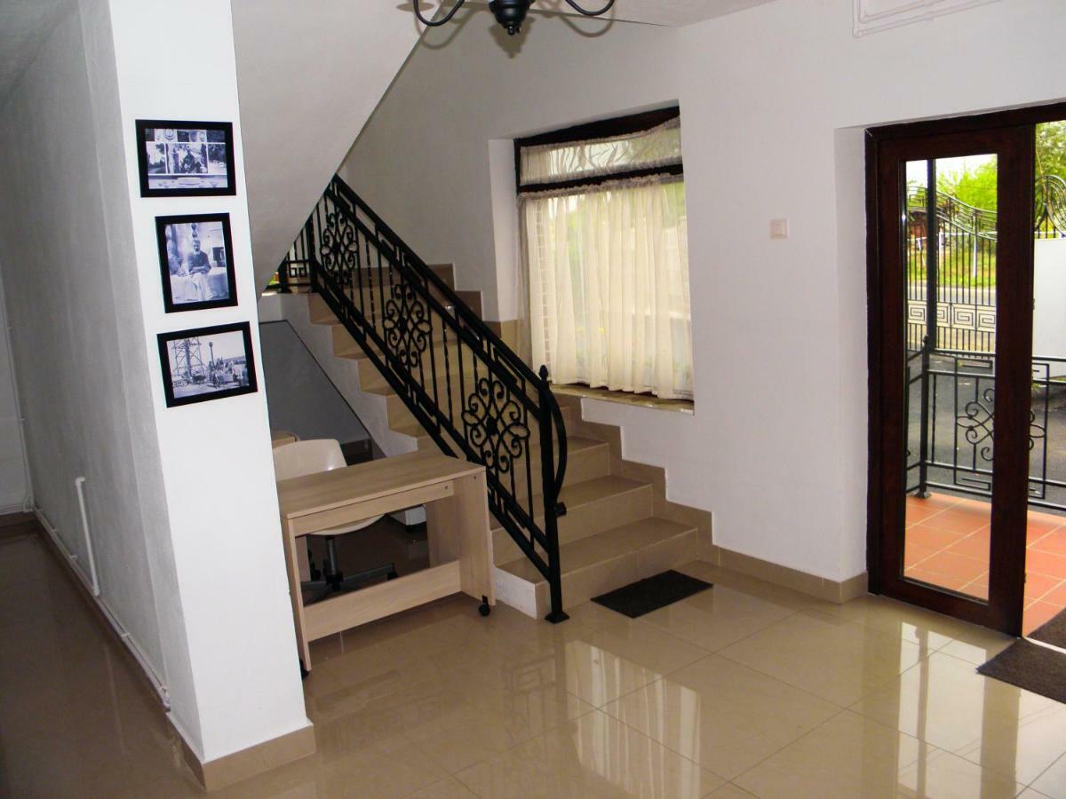 Pensiunea Platinum ทาร์กู จิอู ภายนอก รูปภาพ